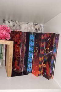 Image 1 of S.J Tilly | Alliance series | Hardback |  Nero | King | Dom | Hans