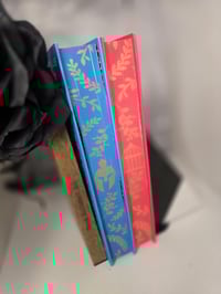 Image 4 of Madeline Miller | Song Of Achilles | Hardback | Paperback