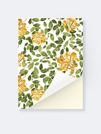 Notebook A5<br><em>Kaprifol</em>