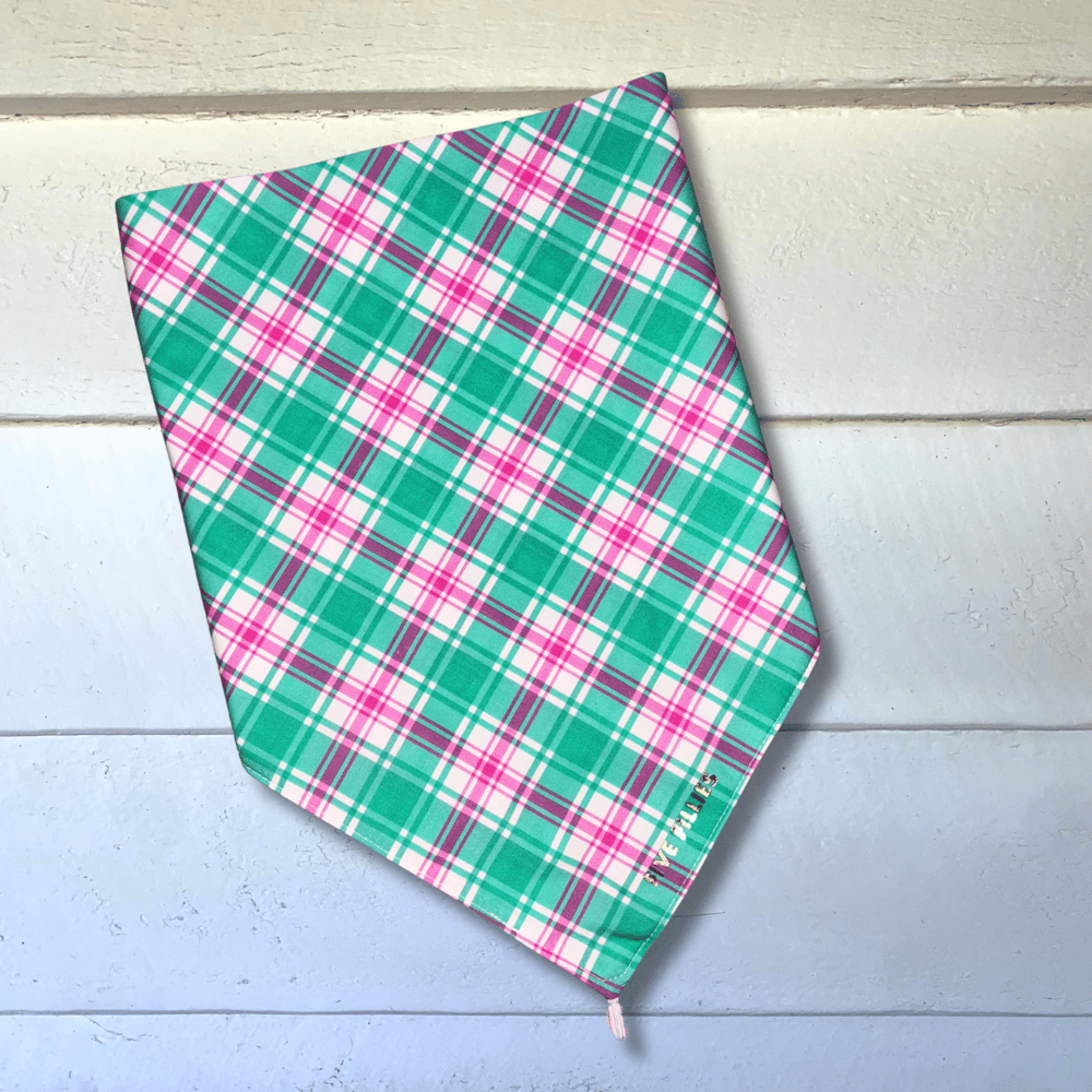 Image of Mint + Pink Plaid Scarf