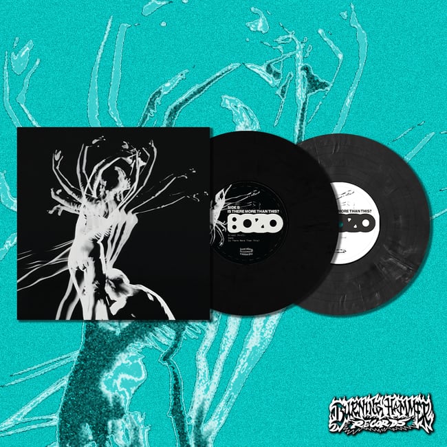 BOZO - Is There More Than This? Vinyl and Merch