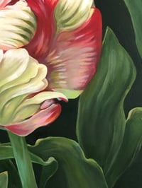 Image 2 of The Movement of a Tulip