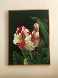 Image 1 of The Movement of a Tulip