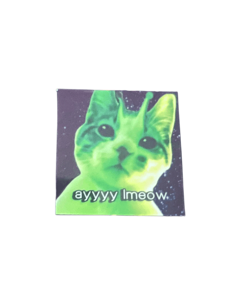 Image of ayyy lmeow extraterrestrial/alien cat sticker