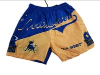 Summertime Nylon shorts 