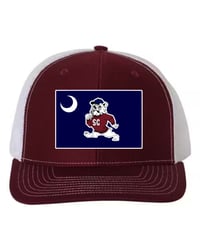 THIS IS OUR STATE Cap