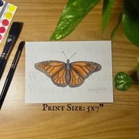 Image 1 of Monarch Butterfly Watercolor Giclée Print 