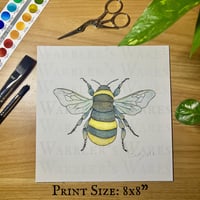 Image 1 of North American Bumblebee  Watercolor  Giclee Print 