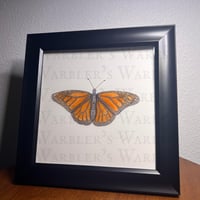 Image 2 of Monarch Butterfly Watercolor Giclée Print 