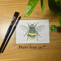 Image 2 of North American Bumblebee  Watercolor  Giclee Print 
