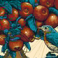 Image 2 of Official Avett Brothers Gig Poster - Beak & Skiff - June 6/7, 2025