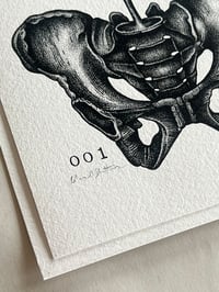 Image 4 of Celestial Nights