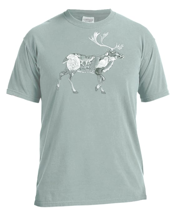 Image of Arctic Caribou garment dyed t-shirt