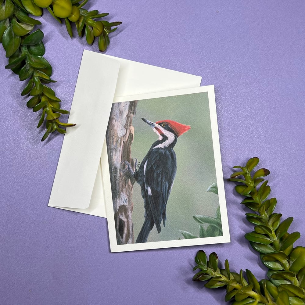 Image of Woodpecker