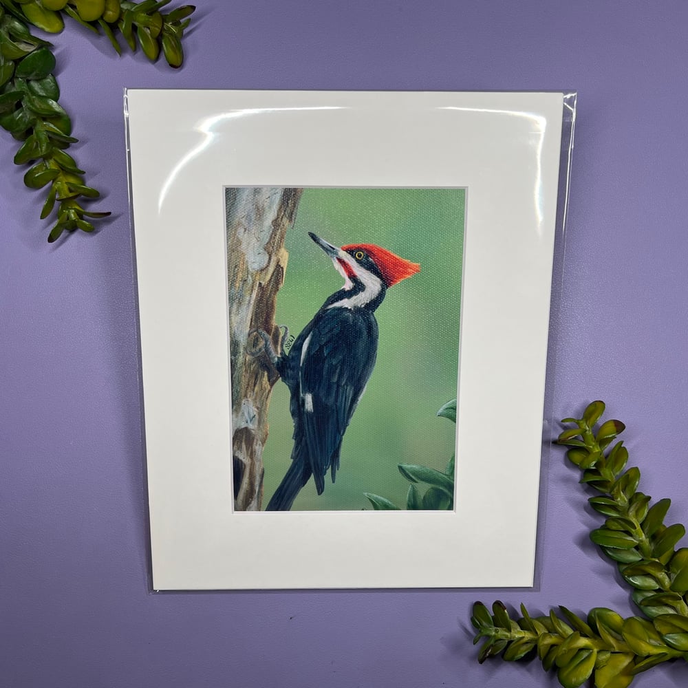 Image of Woodpecker