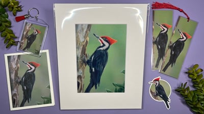 Image of Woodpecker
