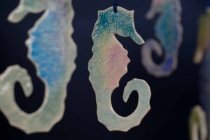 Image of Seahorse Decorations 