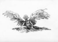 a very old man with enormous wings 