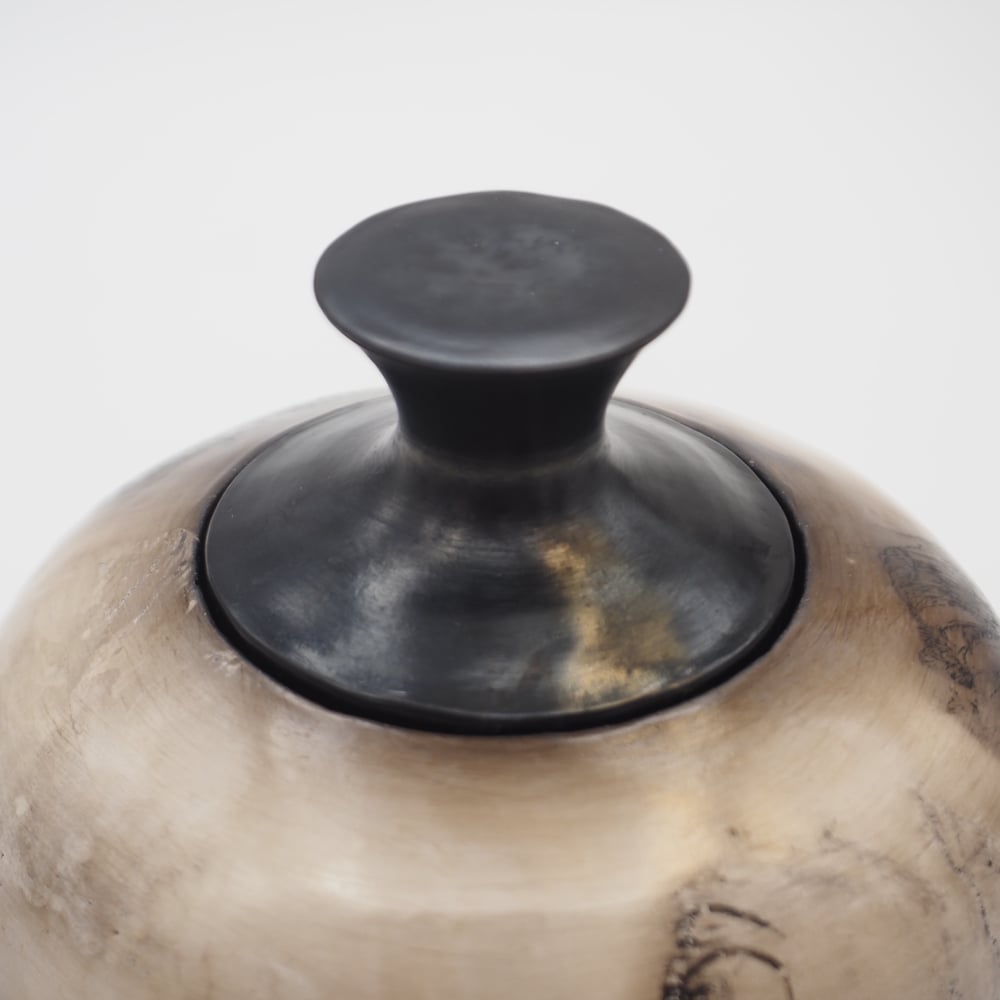 Image of Ghost Feather Raku Lidded Pot 