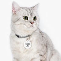 Image 3 of Haute Pawsh Society™ Signature Pet Tag