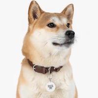 Image 4 of Haute Pawsh Society™ Signature Pet Tag