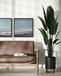 Image 6 of Solstice II