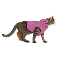 Image 4 of The Pink Pawsh Hoodie