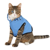 Image 2 of The Blue Pawsh Hoodie