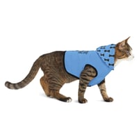 Image 3 of The Blue Pawsh Hoodie