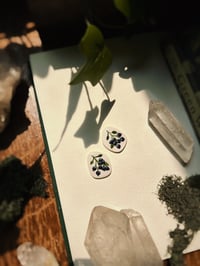 Blueberry Studs