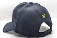 Image of Combo. Low Pro Logo Hat and Good Sound System Tee