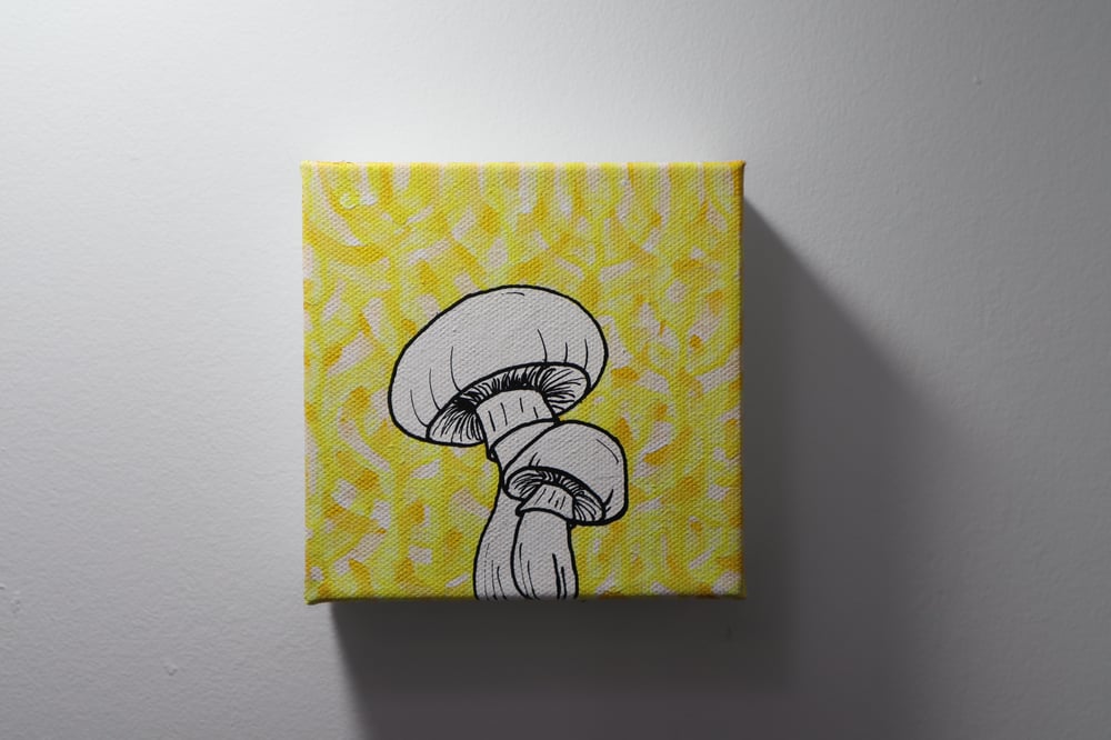 Image of shroomies 02