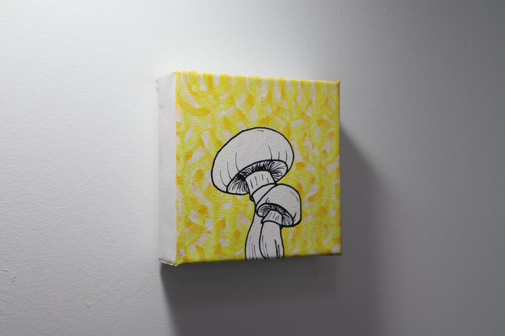 Image of shroomies 02