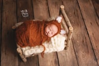 Image 5 of Newborn Wrapped Mini Session