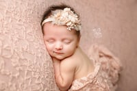 Image 1 of Newborn Session