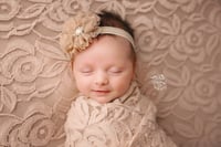 Image 1 of Newborn Wrapped Mini Session