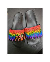 Image 5 of Pride slides