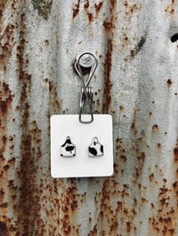 Hollie Studs
