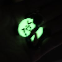 Image 2 of experiment 431