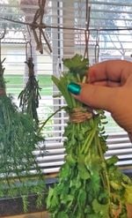 Image of Herb Drying Rack -Decorative Herb Drying Rack Hanging - Secured Herb Dryer Hooks - Macrame Boho Flow
