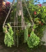 Image of Herb Drying Rack -Decorative Herb Drying Rack Hanging - Secured Herb Dryer Hooks - Macrame Boho Flow