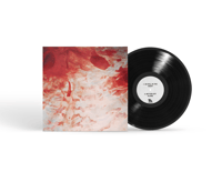 Image 1 of IM STILL IN THE NIGHT 12" VINYL