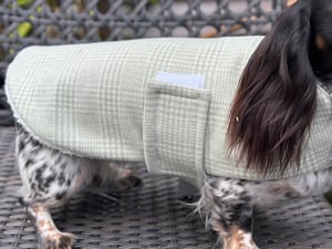 Image of Sage Check Coat