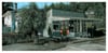 Huia Store Print