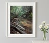 Kakamatua Stream Print