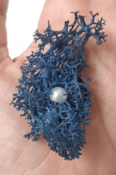 Image of Broche Corazón de Alga