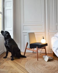 Image 2 of Fauteuils sans accoudoirs PDP