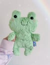 Leafy ~ Happy Froggy Plushie (9.5 inches)