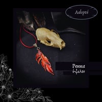 Image 4 of ☽ Penna ☾
