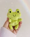 Kiwi ~ Happy Froggy Beanbag (4.5 inches)